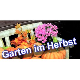Den geliebten Garten für den Herbst vorbereiten - 5 Tipps