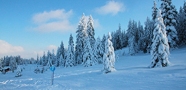 Ein Gartenhaus winterfest machen